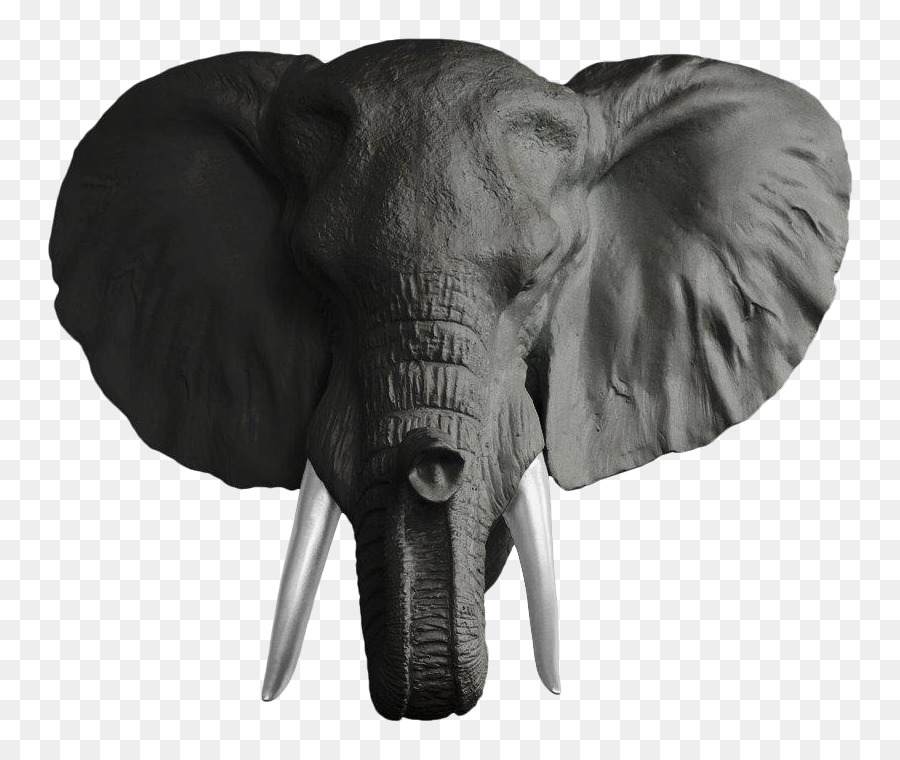 éléphant Indien，L éléphant D Afrique PNG