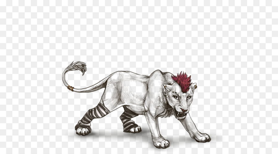 Lion，Tigre PNG