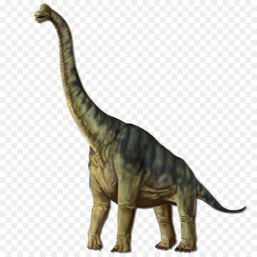 Dinosaure à Long Cou，Préhistorique PNG