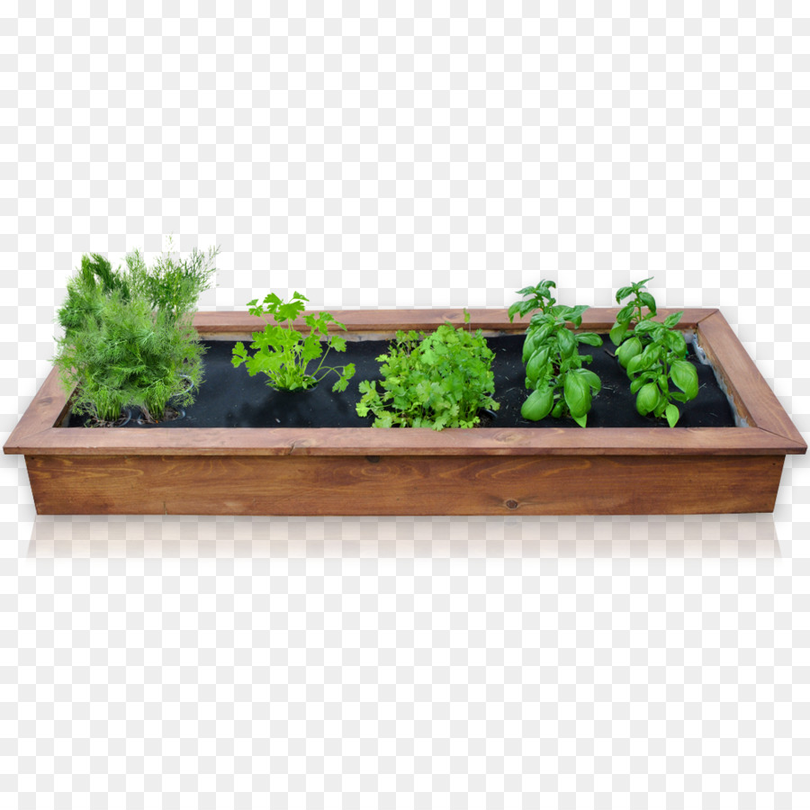 Herbe，Flowerpot PNG