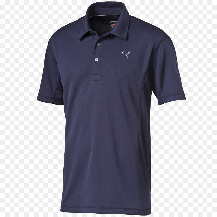 T Shirt，Chemise Polo PNG