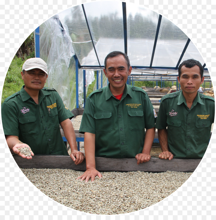 Awan Rante Karua，Grain De Café PNG