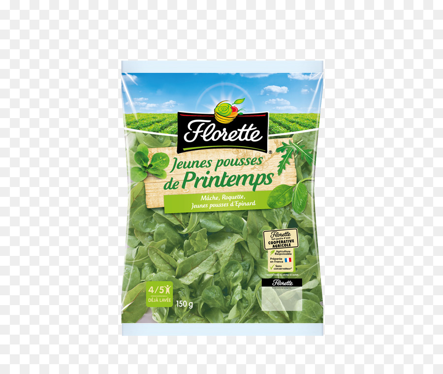 Basilic，Légume Feuille PNG