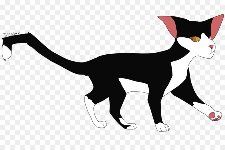 Chat Noir，Animal De Compagnie PNG