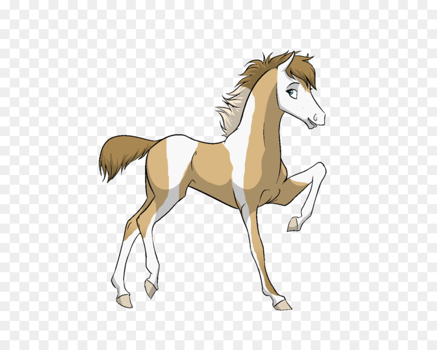 Cheval Qui Court，Animal PNG