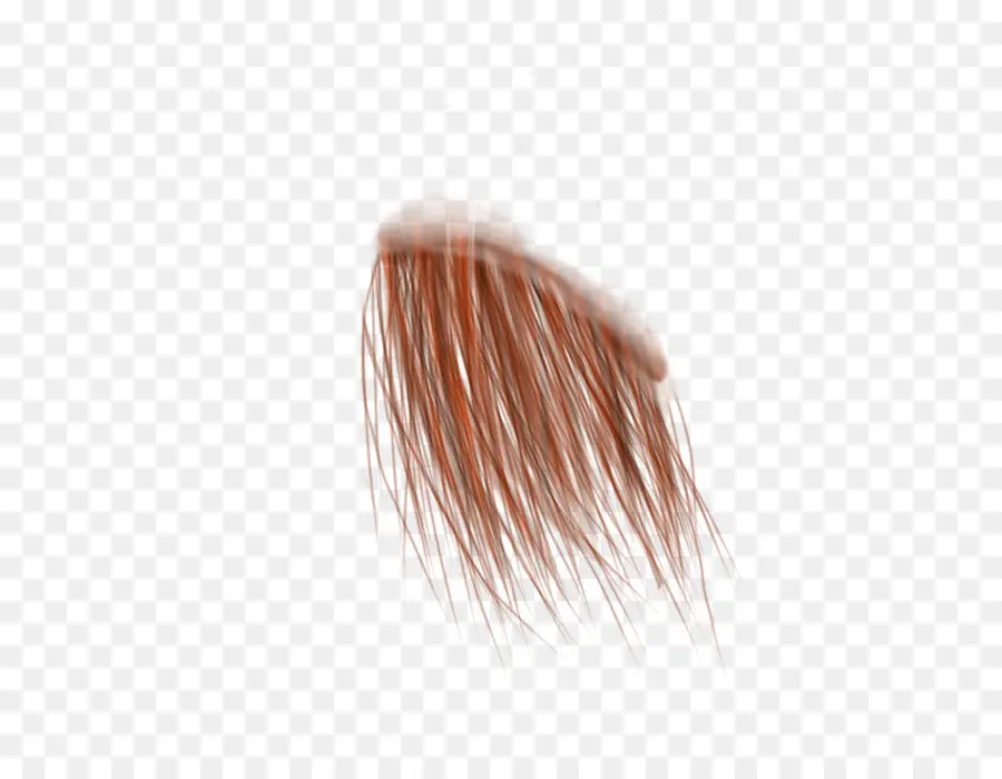 Cheveux，Brin PNG