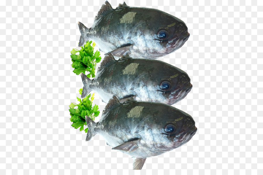 La Morue，Les Produits Du Poisson PNG