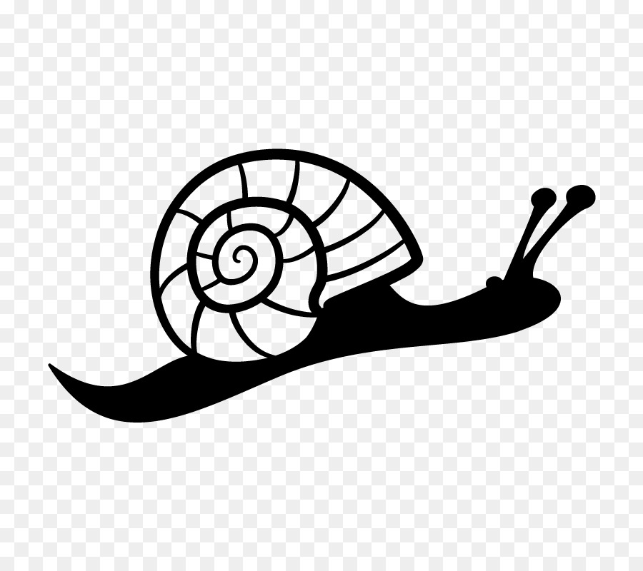 Escargot，Coquille PNG