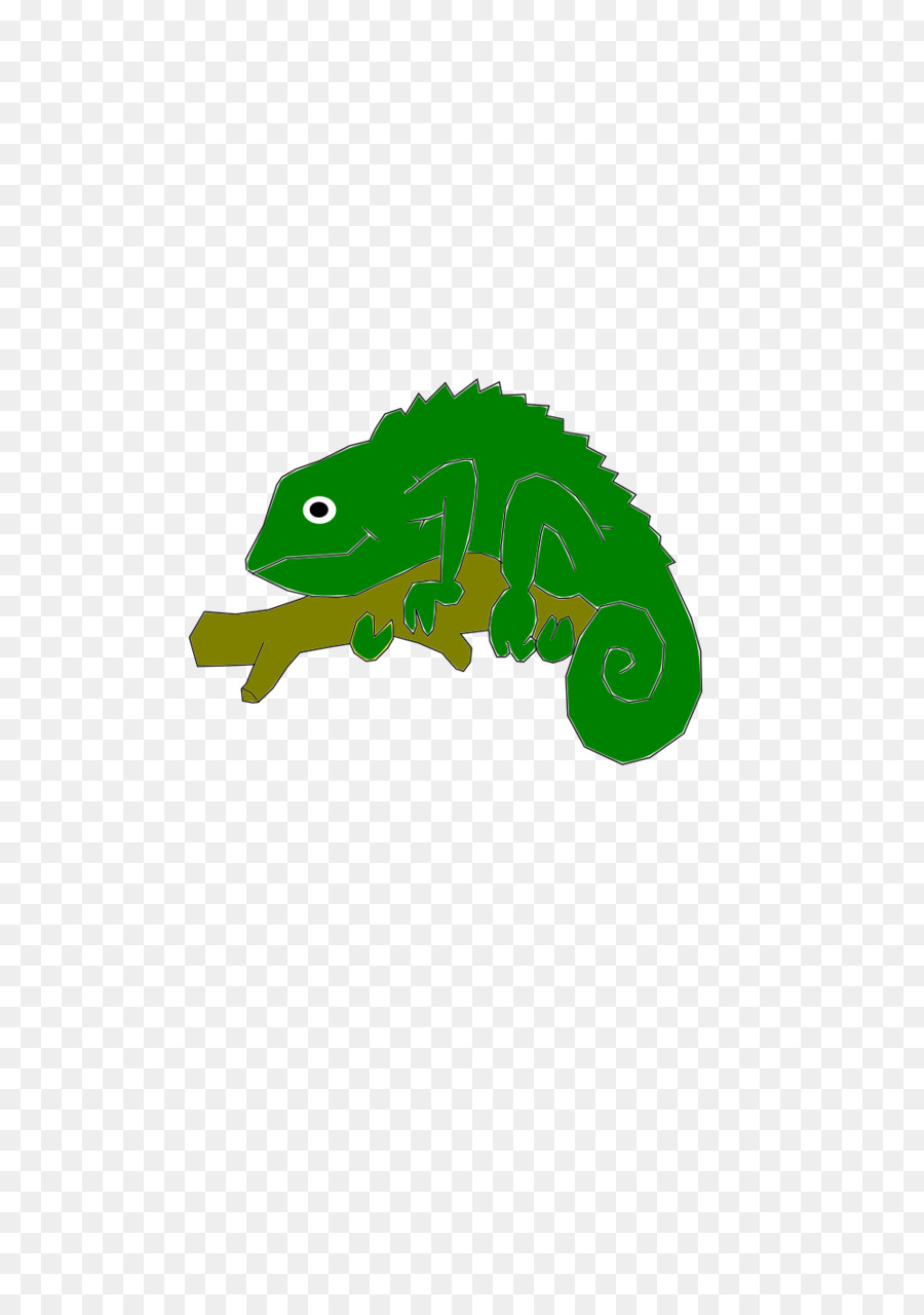 Iguane Vert，Lézard PNG