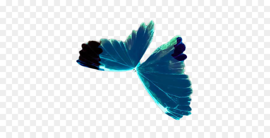 Turquoise，Les Papillons Et Les Papillons PNG
