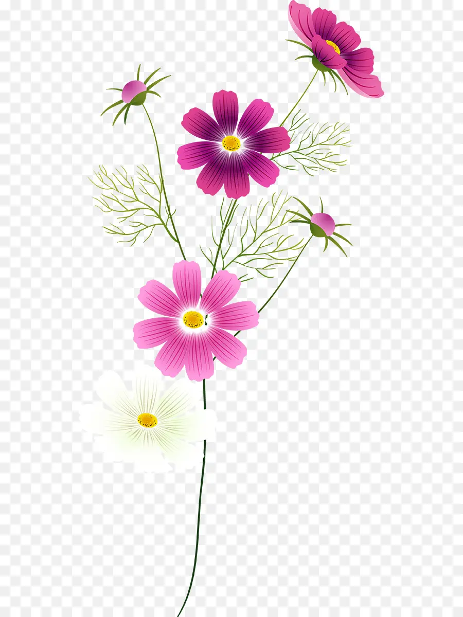 Fleur，Art Floral PNG
