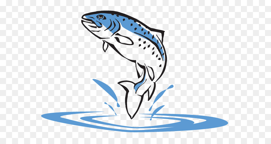 Poisson，Eau PNG