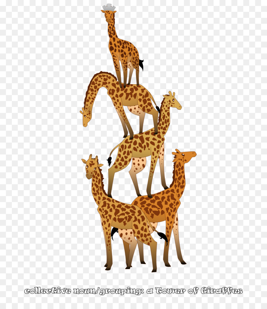 Girafe，Cerf PNG