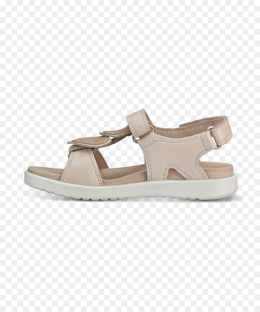 Sandale Sarcelle，Chaussure PNG