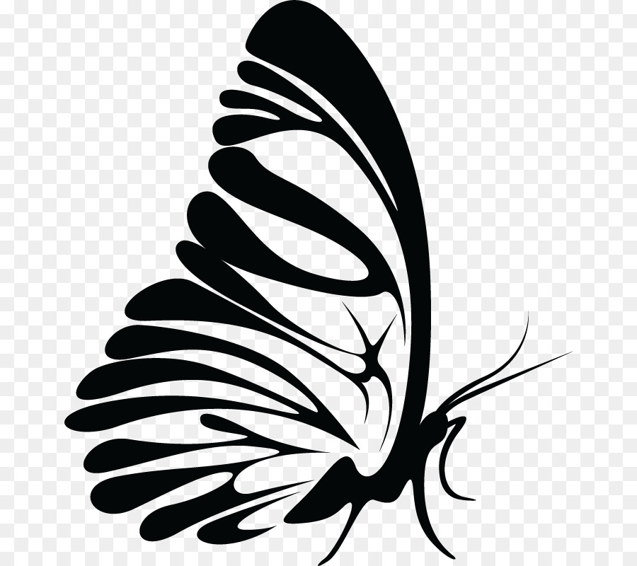 Papillon Noir，Insecte PNG