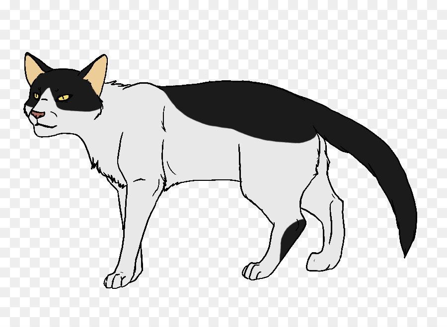 Chat，Animal De Compagnie PNG