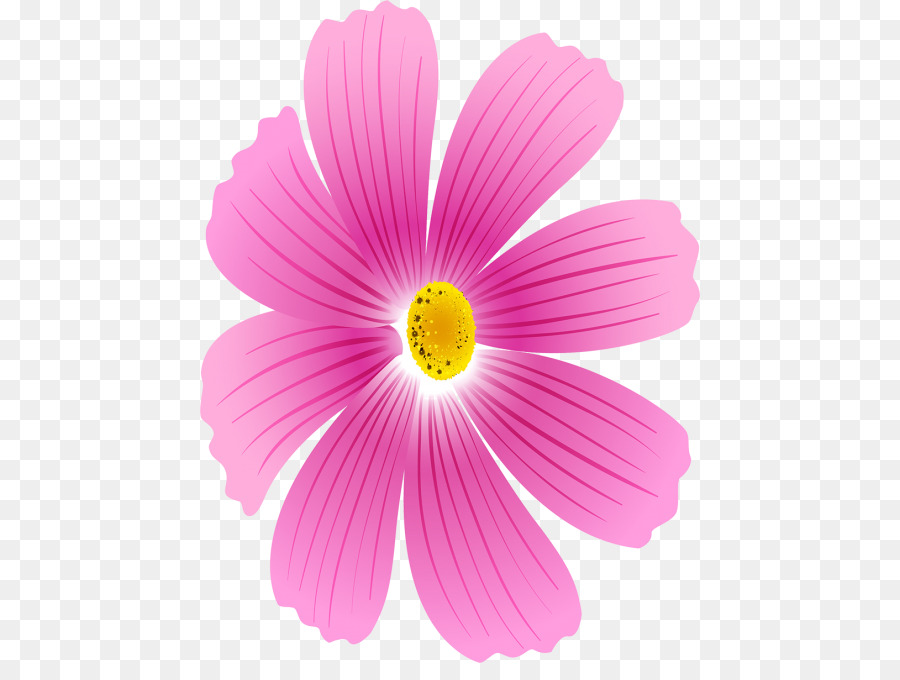 Fleur，Rose PNG