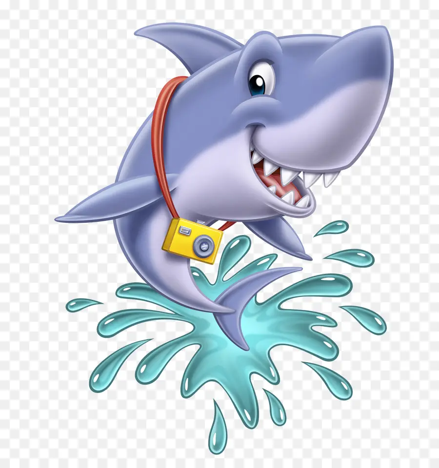 Requin De Dessin Animé，Requin PNG