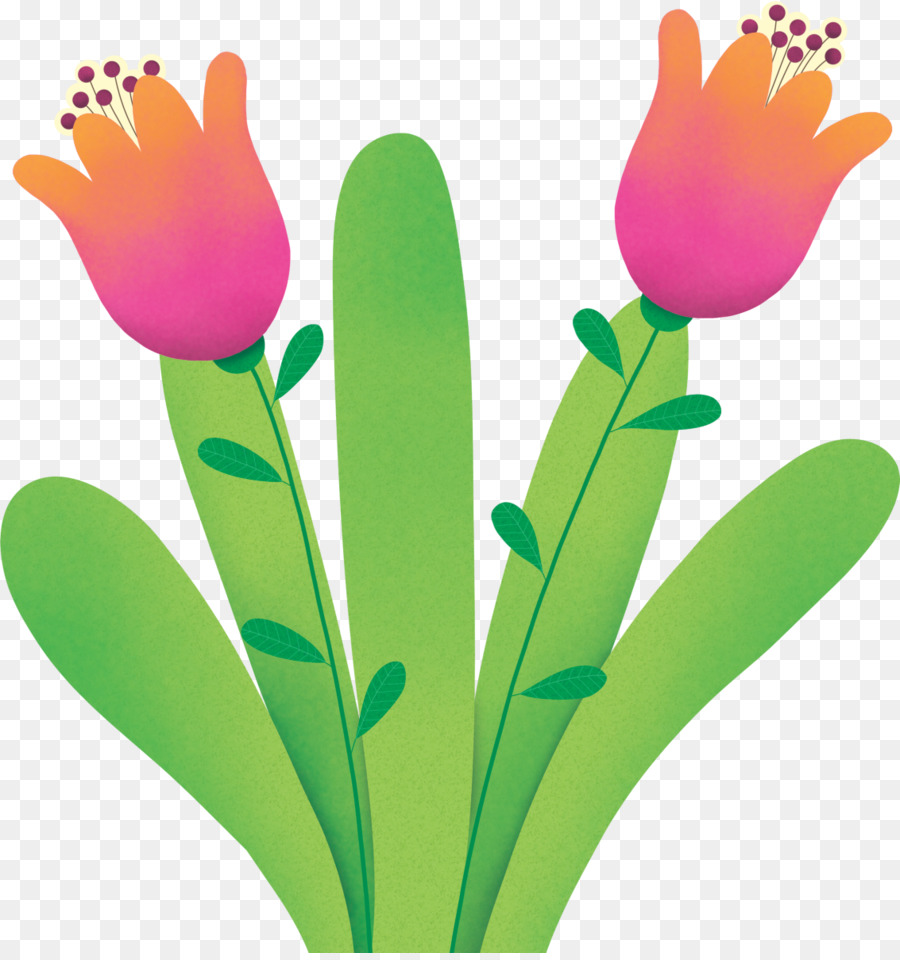 Tulip，Enfant PNG