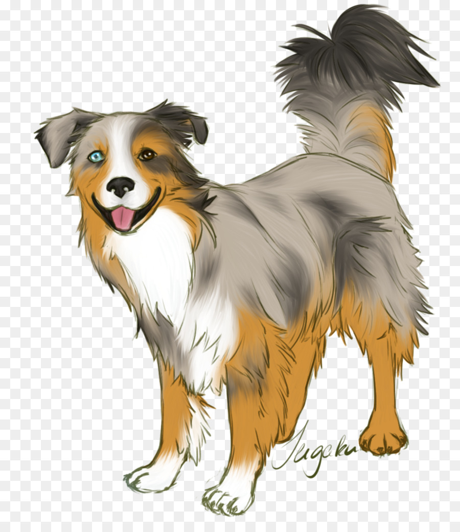 Chien Noir Et Blanc，Animal De Compagnie PNG