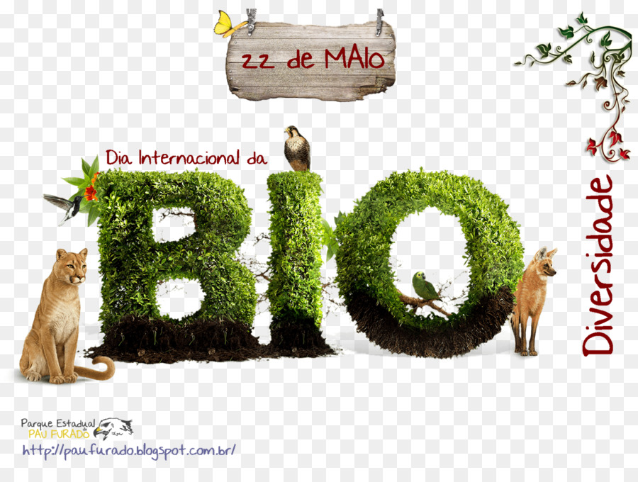 La Biodiversité，Journée Internationale Pour La Diversité Biologique PNG