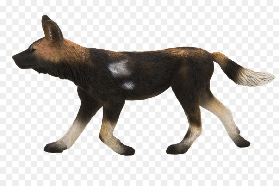 Chien Sauvage Africain，Chien PNG