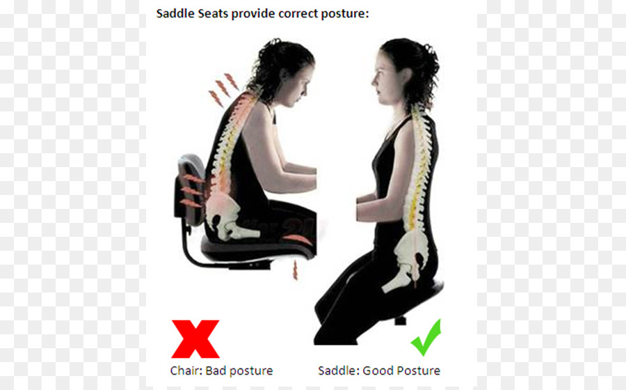 Comparaison De Postures，Siège De Selle PNG