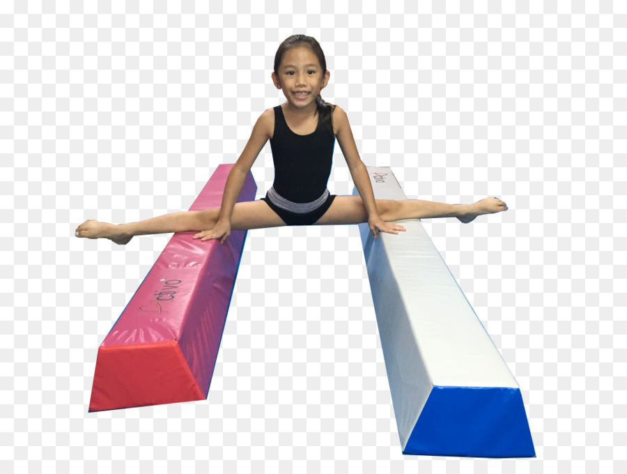 Division De Gymnastique，Fille PNG