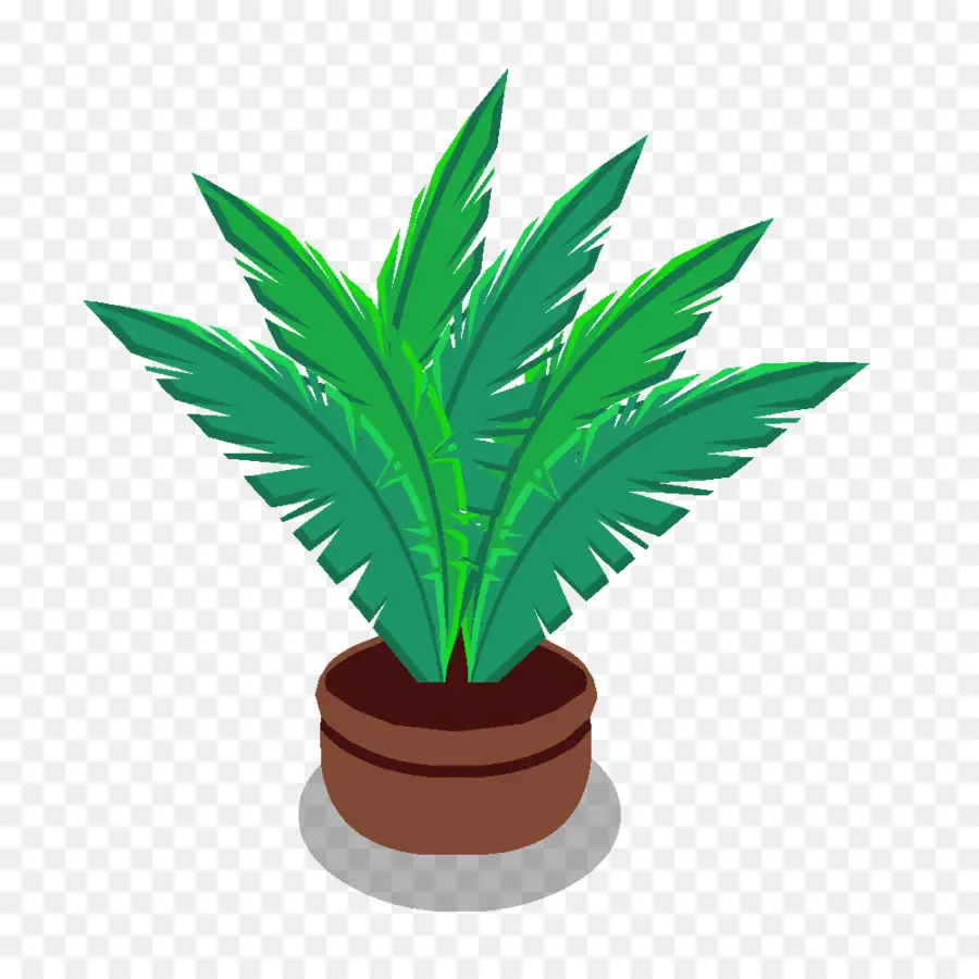 Arecaceae，Plante PNG