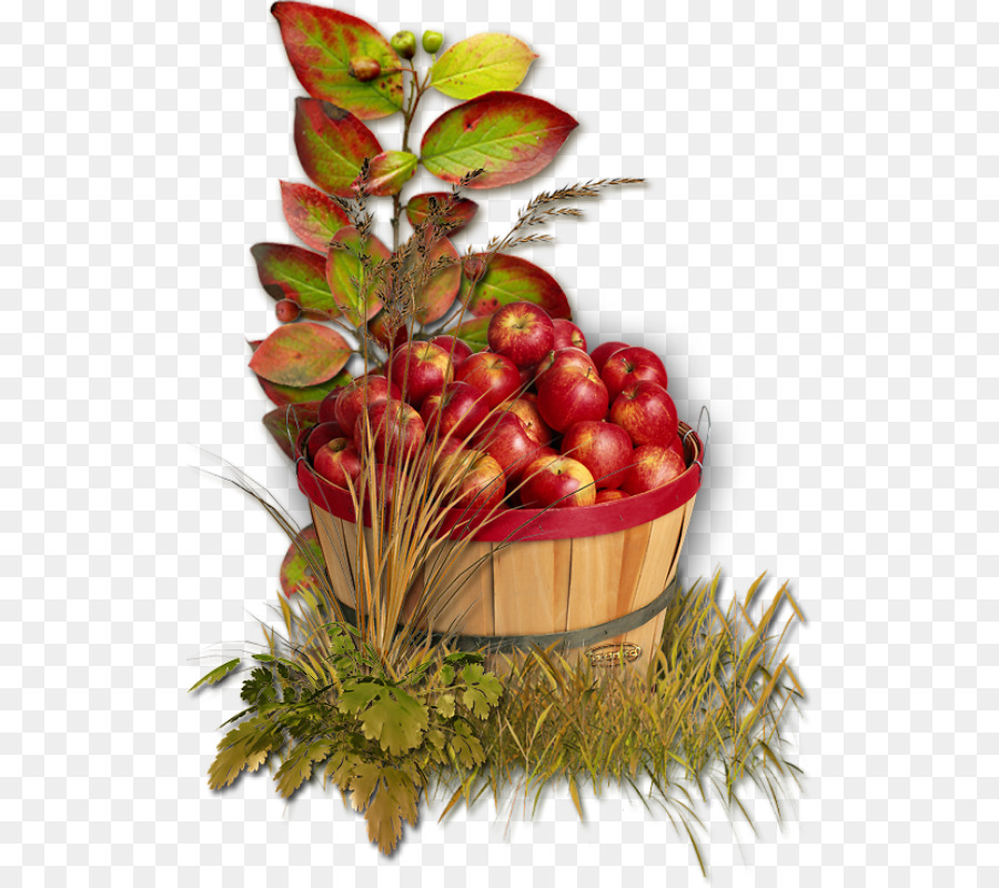 Panier De Pommes，Fruit PNG