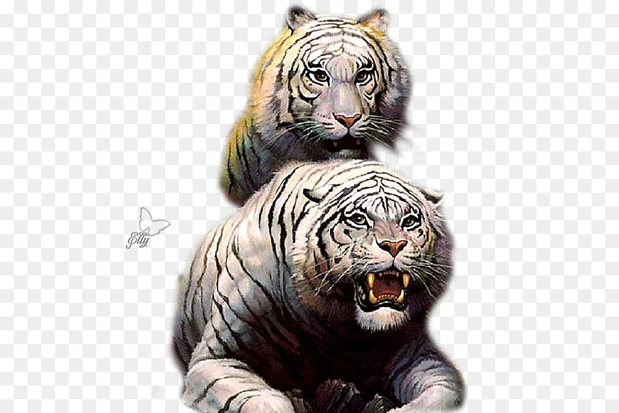 Tigres Blancs，Gros Félins PNG