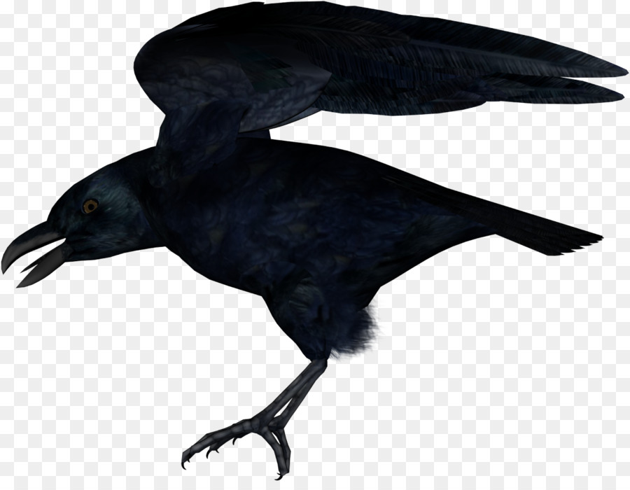 Oiseau Bleu，Vol PNG