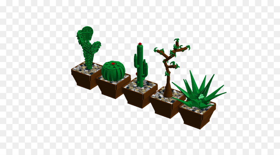 Plantes En Pot，Cactus PNG