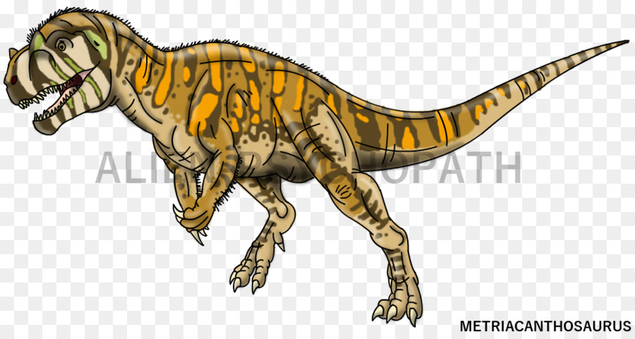 Metriacanthosaurus，Velociraptor PNG