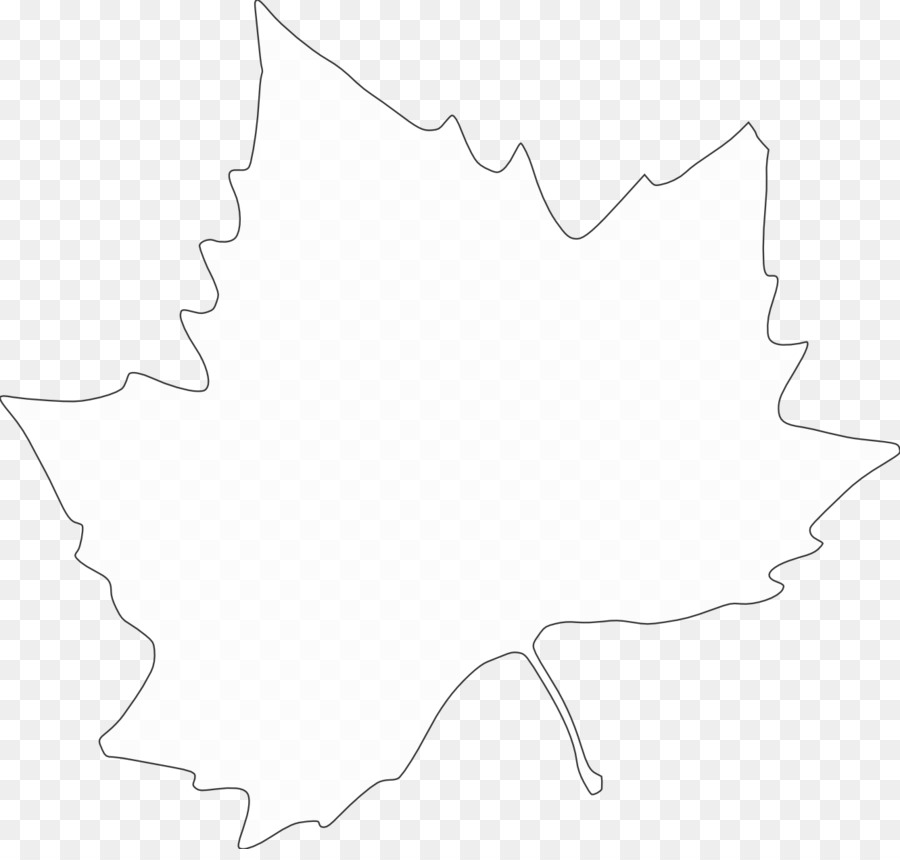 Blanc，Feuille PNG