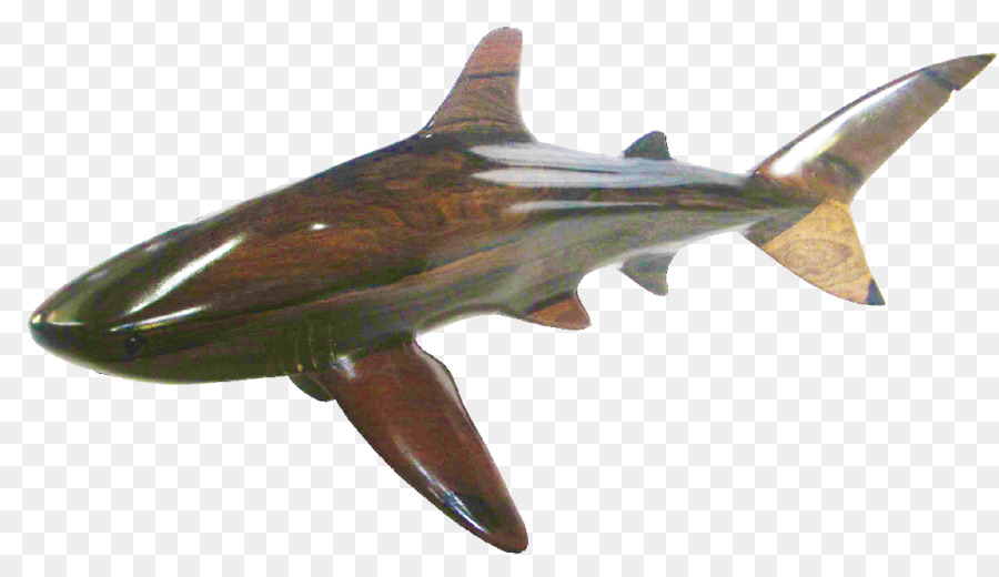 Requin，Poisson PNG