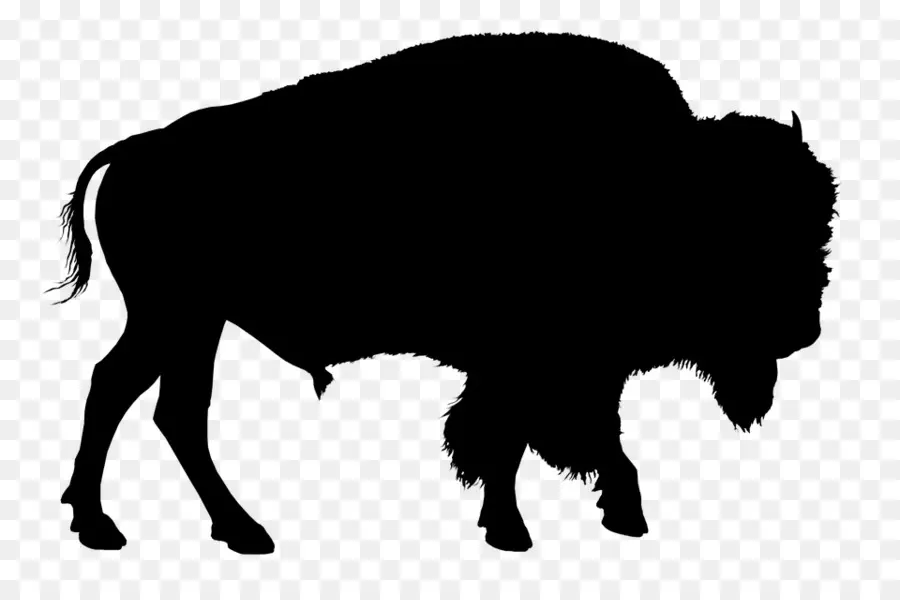 Buffle Silhouette，Bison PNG