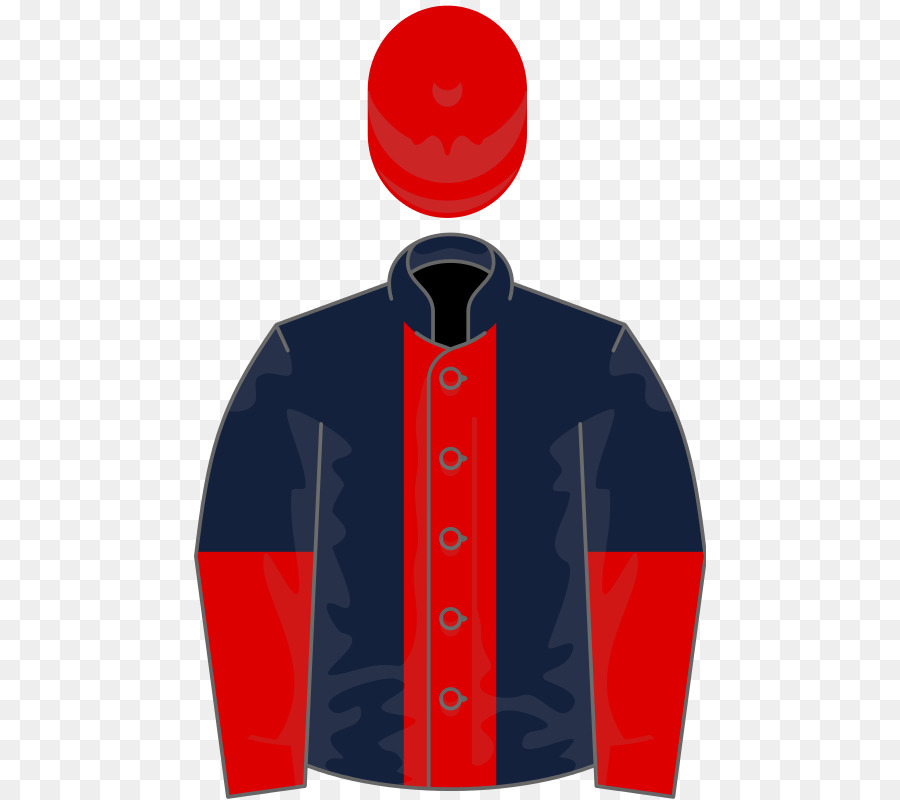 2017 De La Melbourne Cup，Raviver PNG