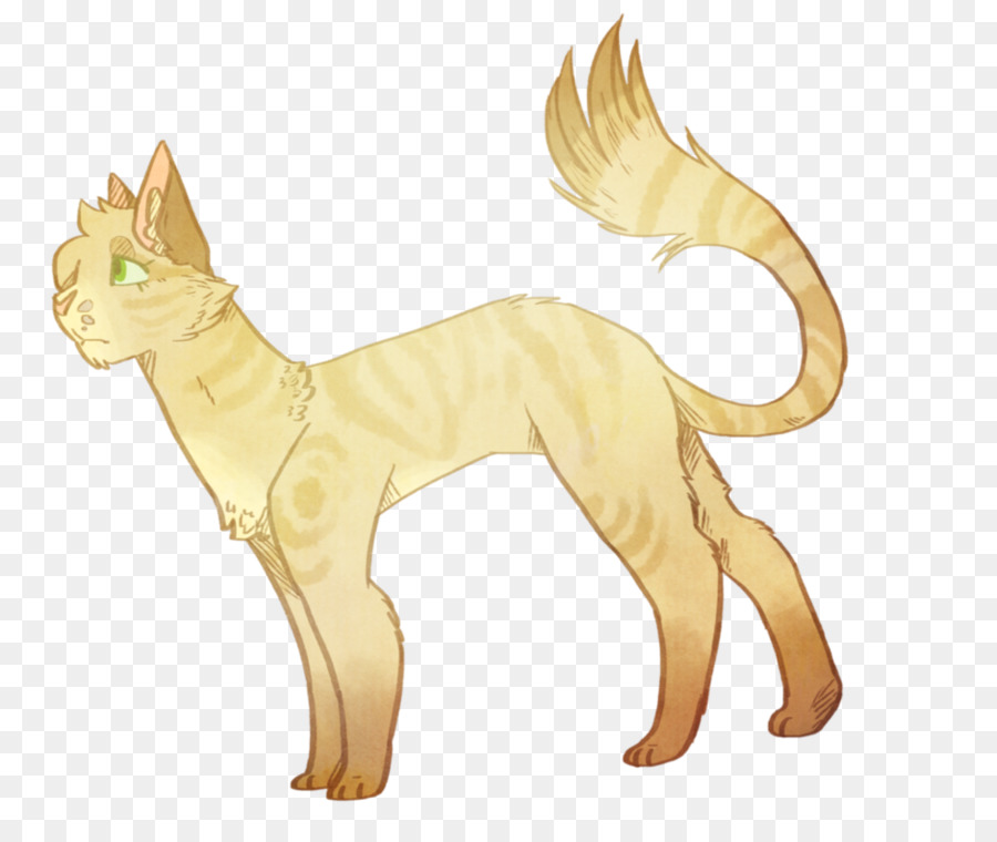 Chat，Firestar S Quest PNG