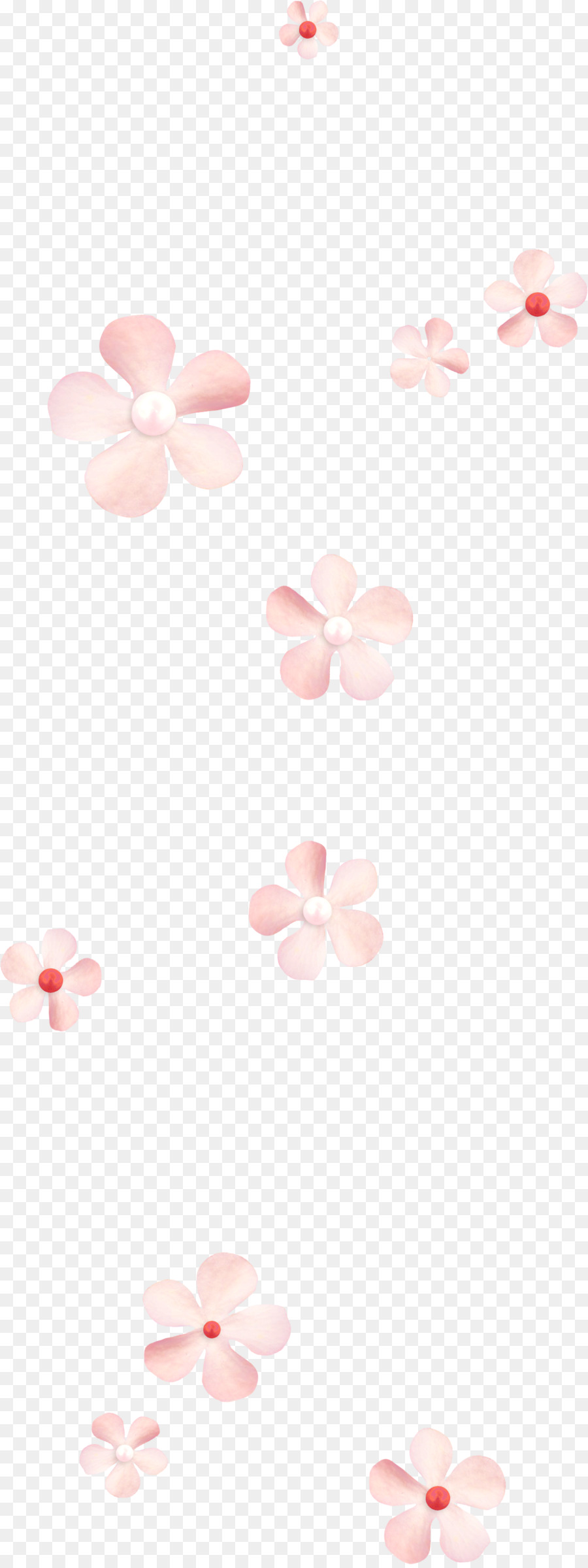 Fleurs De Cerisier，Rose PNG