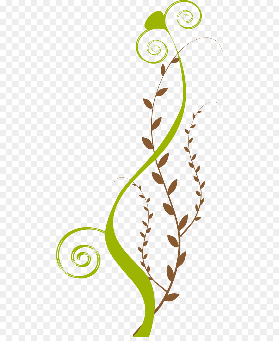 Vigne Verte，Feuilles PNG