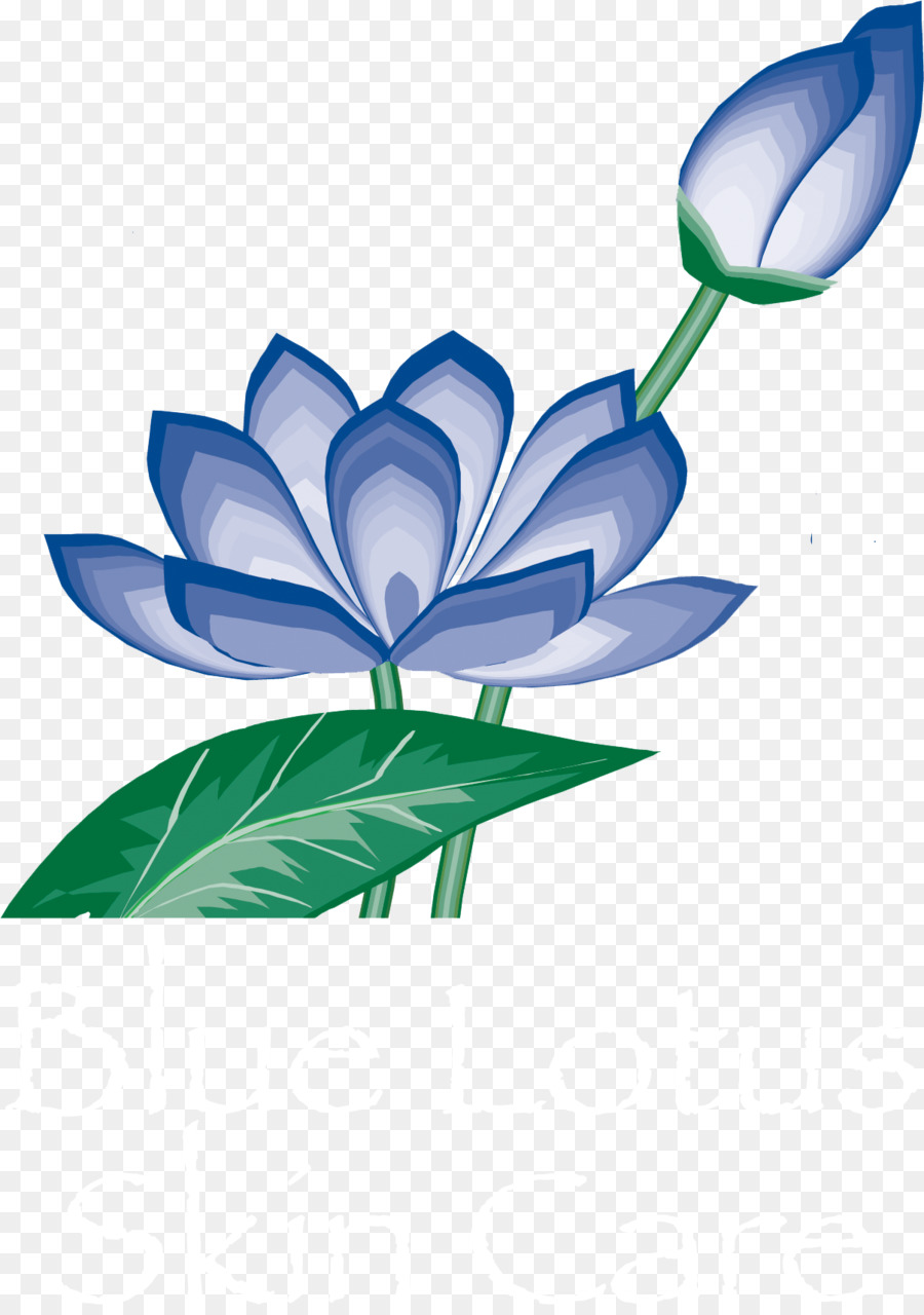 Lotus Soins De La Peau Medspa，Soins De La Peau PNG