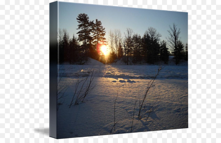 Arbre，L Hiver PNG