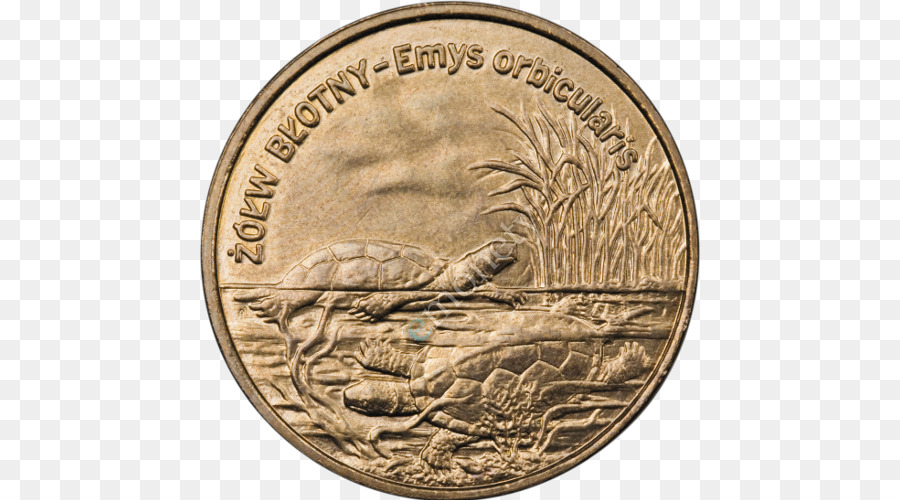 Pologne，Une Pièce Commémorative De 2 Médailles D Or PNG