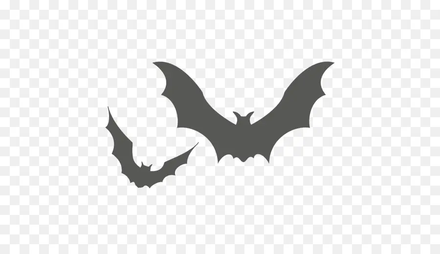 Chauve Souris Noire，Vol PNG