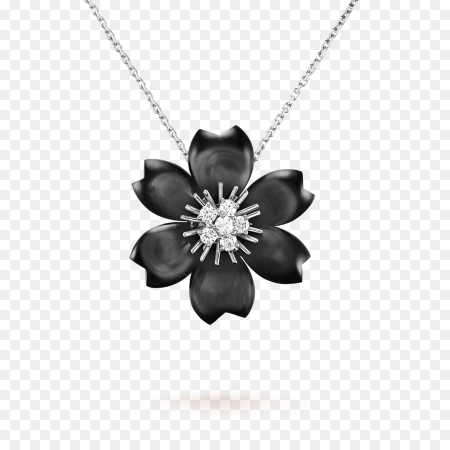 Collier De Fleurs，Blanc PNG