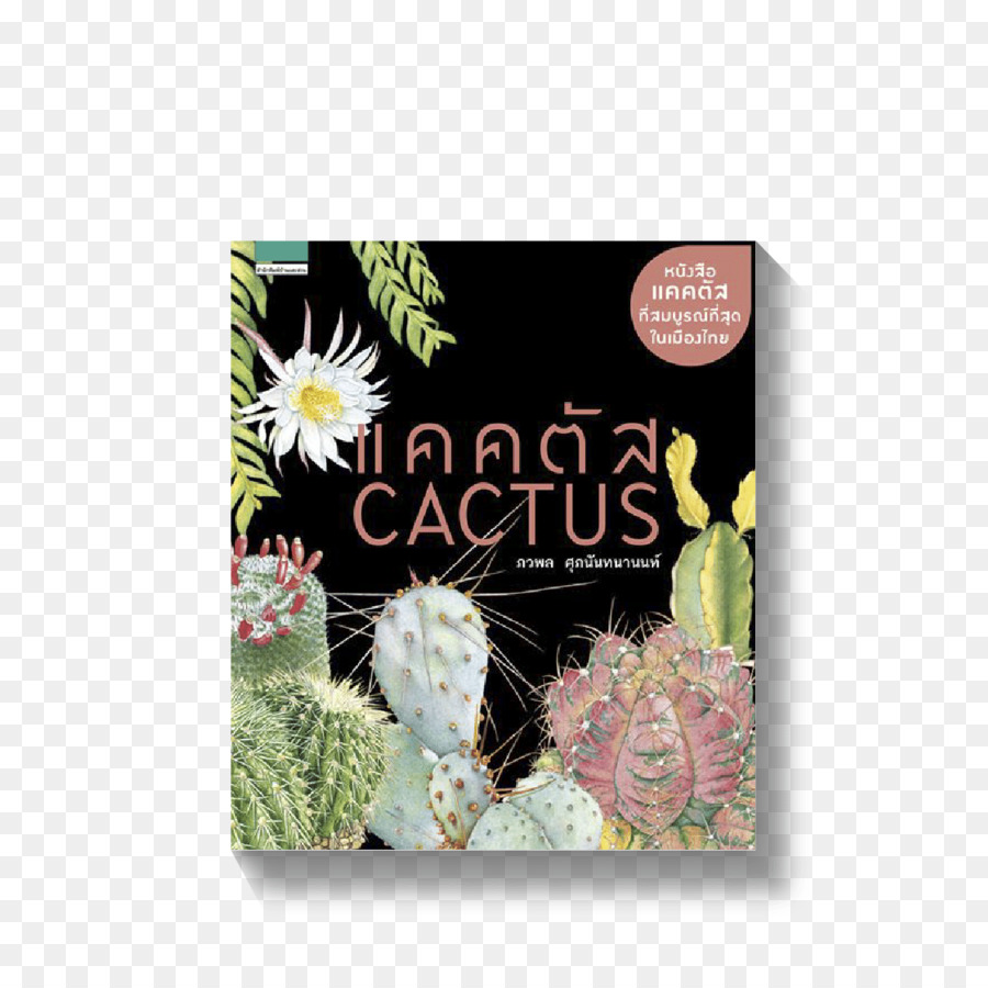 Cactaceae，Livre PNG