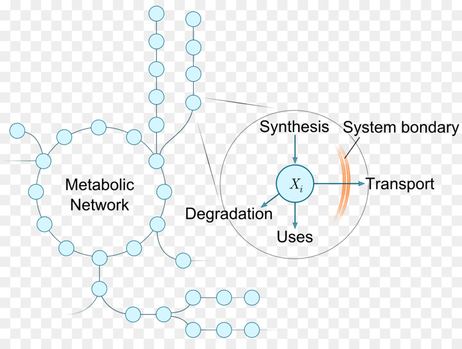 Diagramme，Chimie PNG