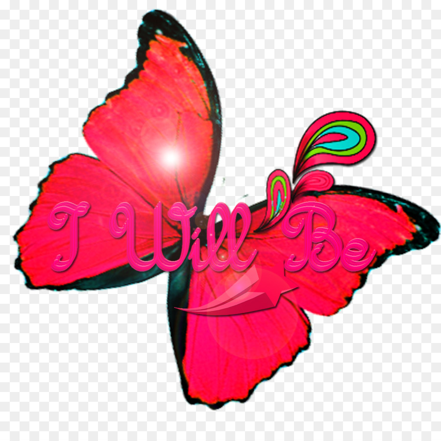 Papillon，Rose M PNG