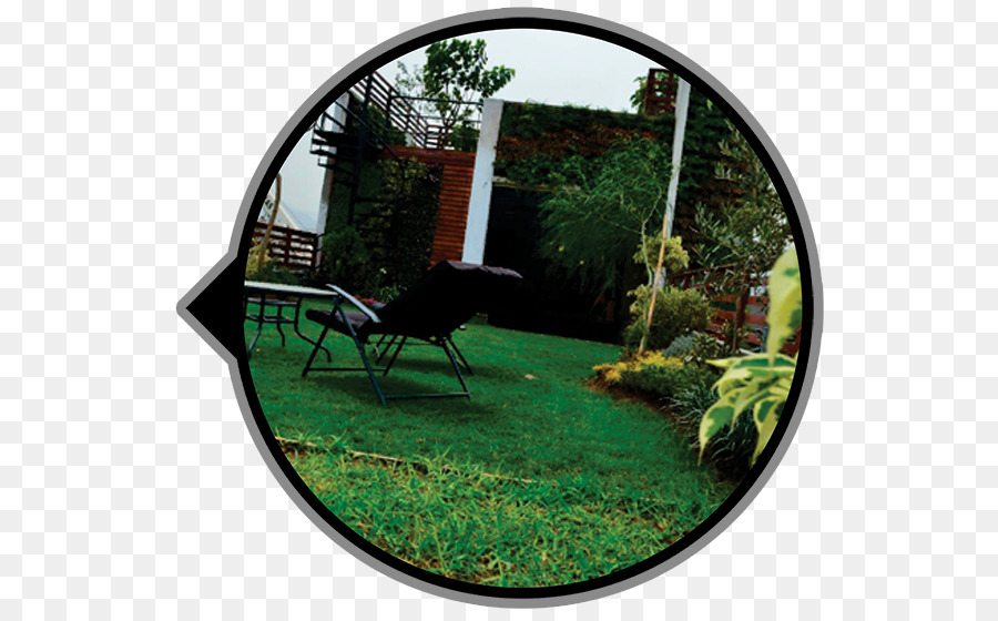 Toit Vert，Jardin PNG